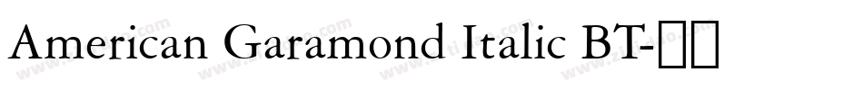 American Garamond Italic BT字体转换